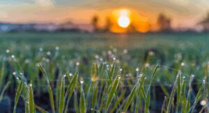 tuesday-morning-prayer